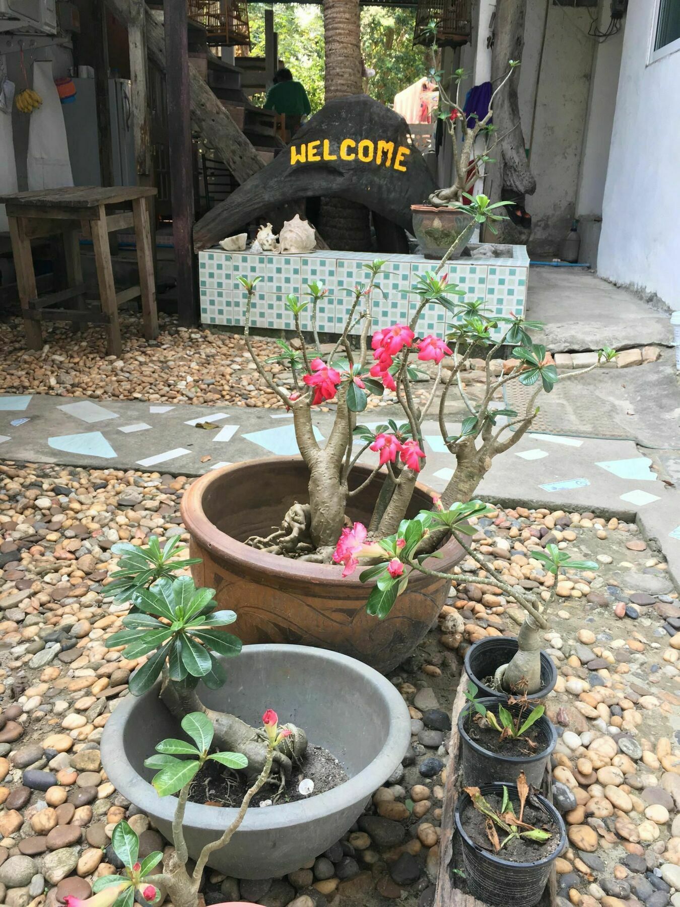 Miss Hong House Hotel Koh Samet Exterior photo